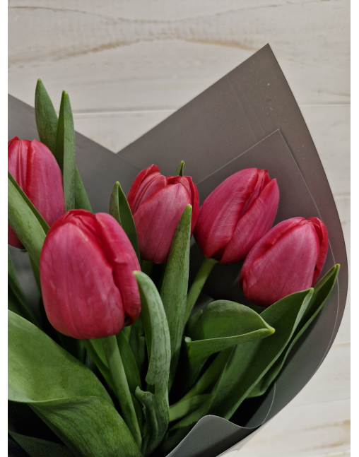RAMO 6 TULIPANES FUCSIAS