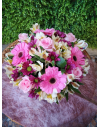 BOX ROSAS Y GERBERAS